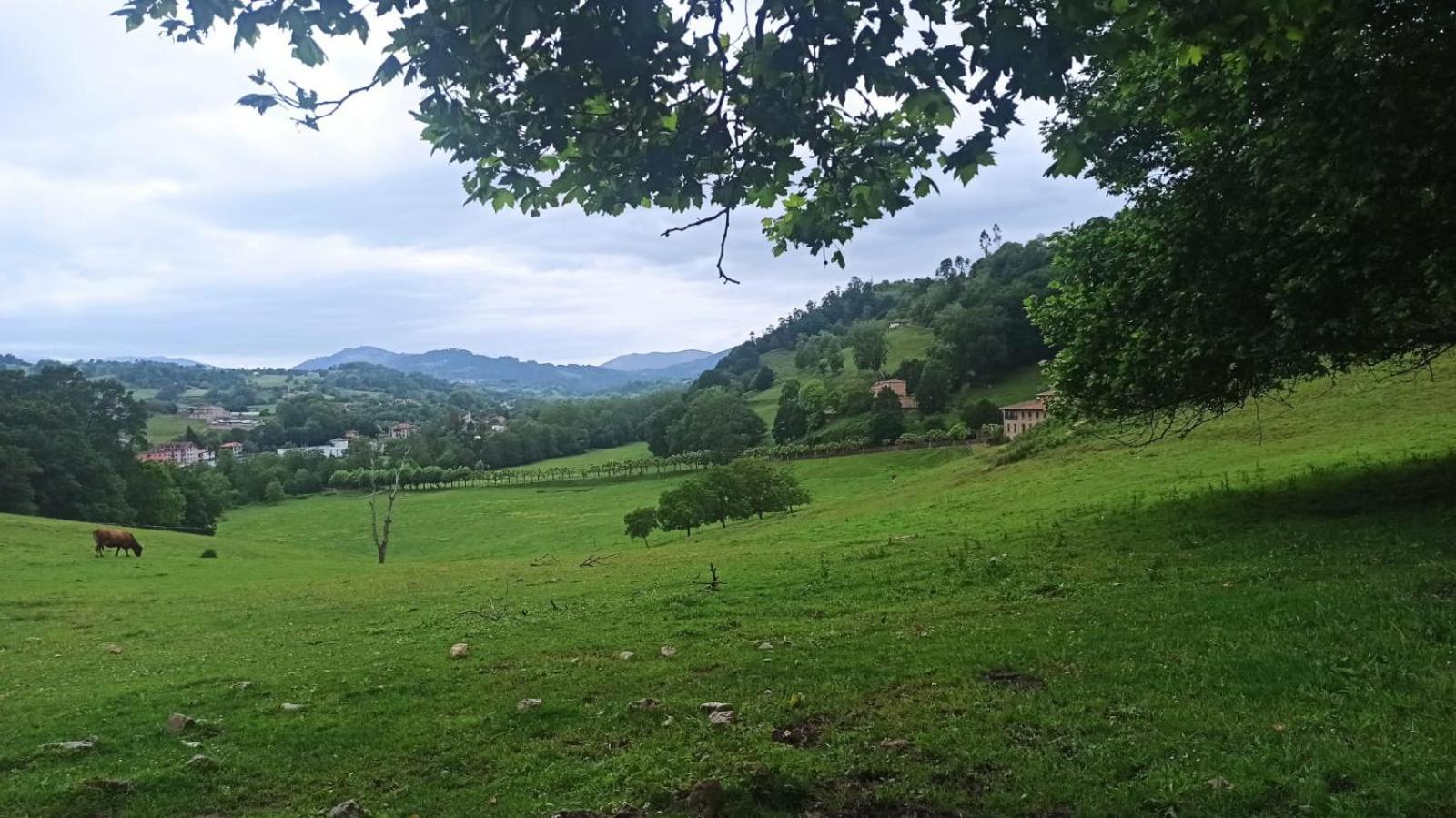 Casa Rural La Collada Sorribas  외부 사진